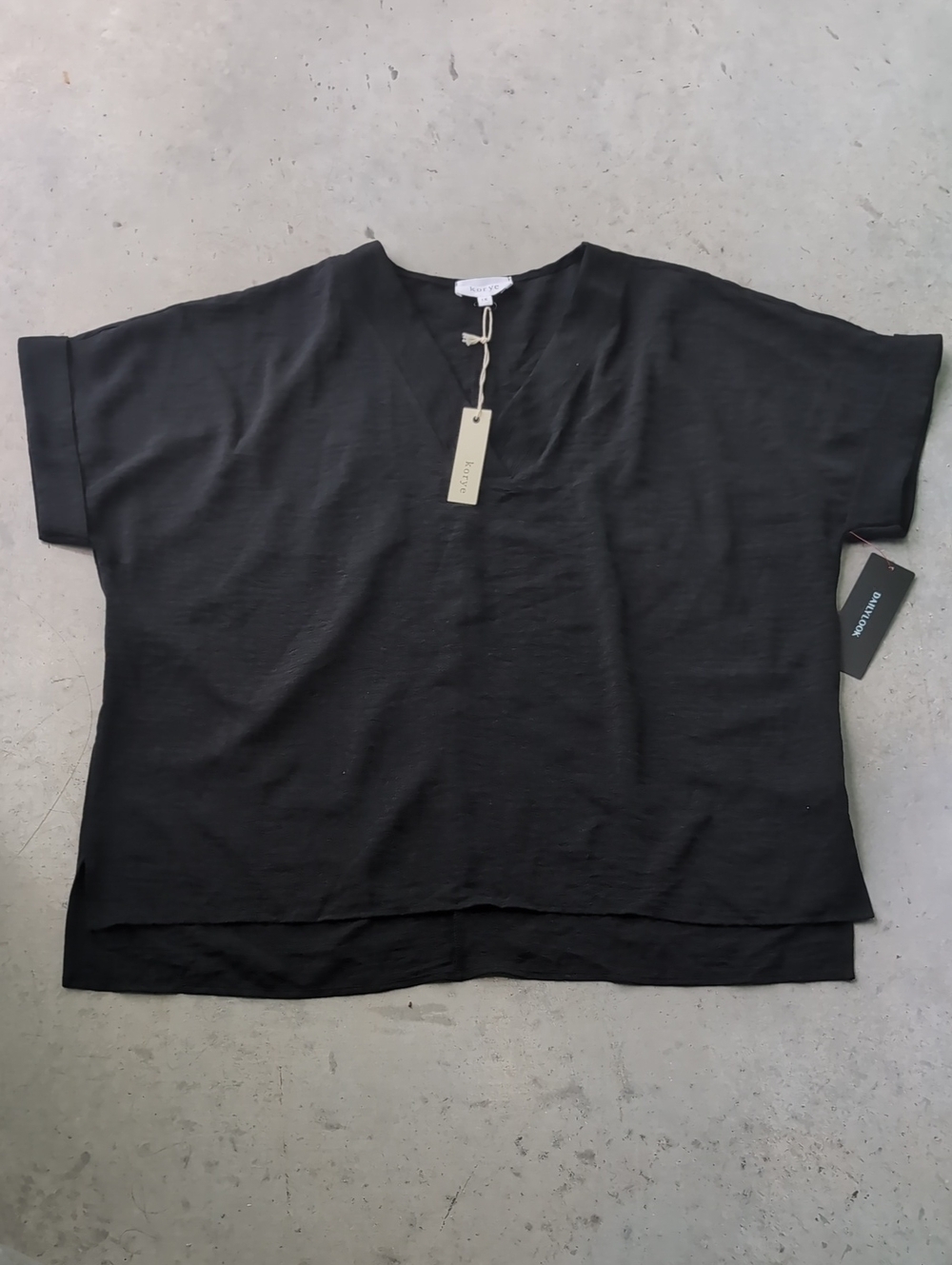 Korye Black V-Neck Top- 1X